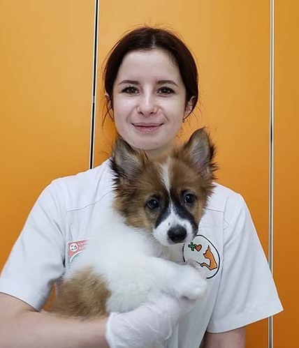 Специалист Лапа Помощи Шульга А.В.