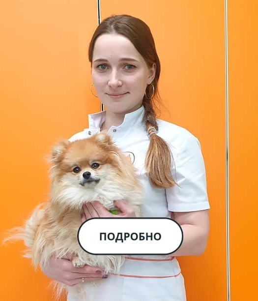 Специалист Лапа Помощи Маламатиди В.В.