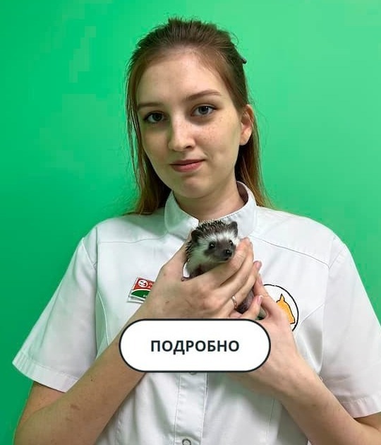 Специалист Лапа Помощи Носкова Д. А.