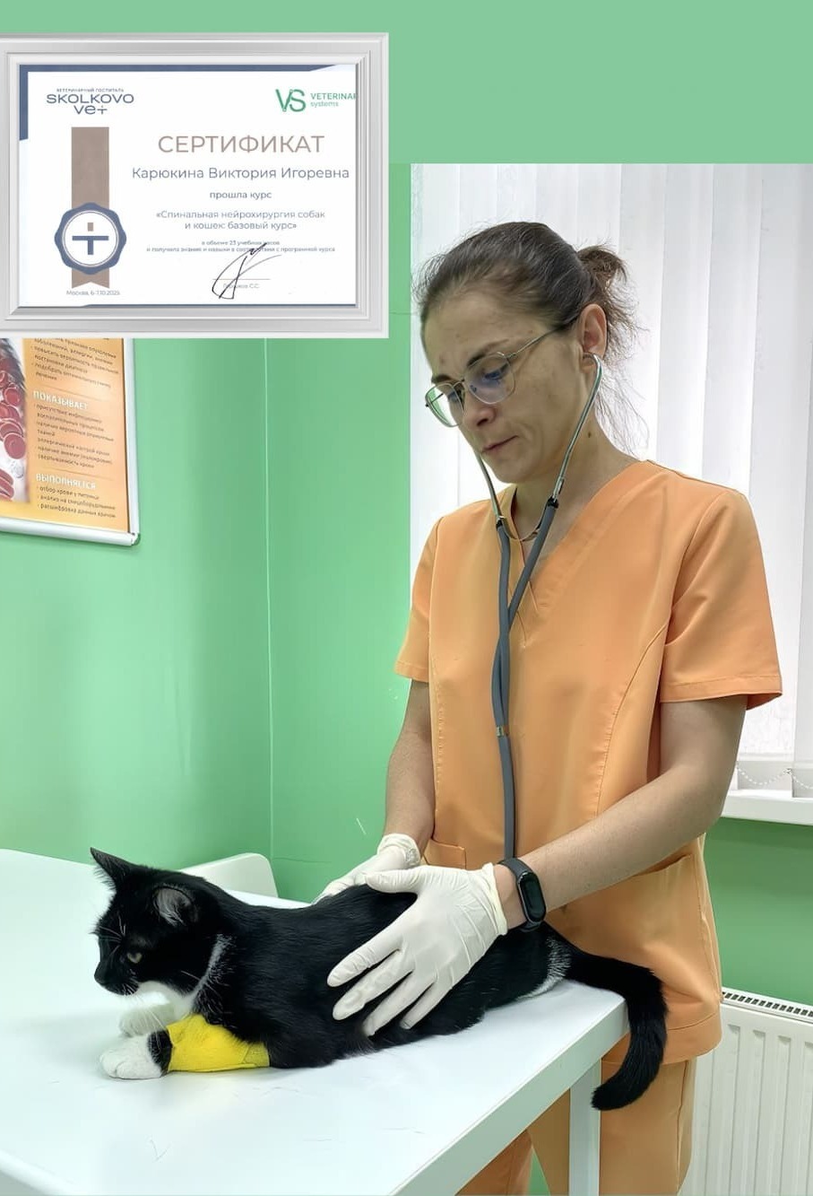 Карюкина Виктория Игоревна, обучение в SkolkovoVet г. Москва (курс: Спинальная нейрохирургия собак и кошек) Карюкина Виктория Игоревна, обучение в SkolkovoVet г. Москва (курс: Спинальная нейрохирургия собак и кошек)