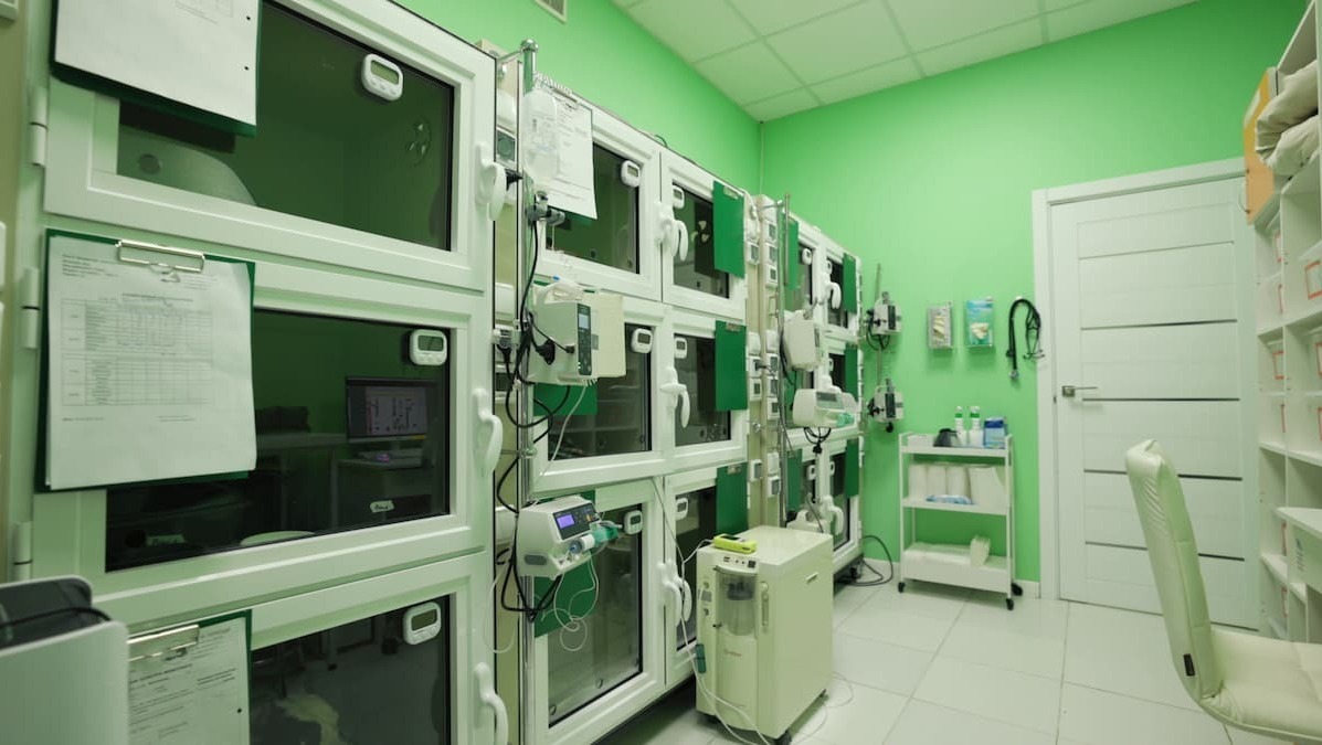 Стационарное отделение ветеринарной клиники "Лапа Помощи" Стационарное отделение ветеринарной клиники "Лапа Помощи"