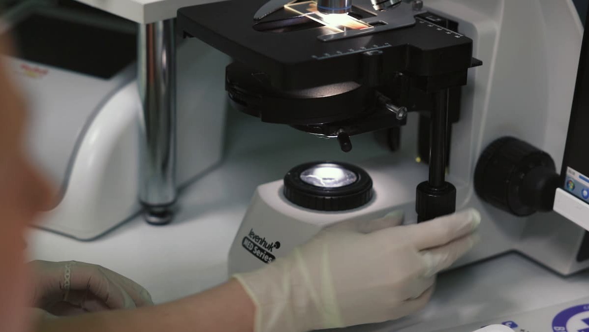 Собственная лаборатория при ветеринарной клинике "Лапа Помощи" Собственная лаборатория при ветеринарной клинике "Лапа Помощи"